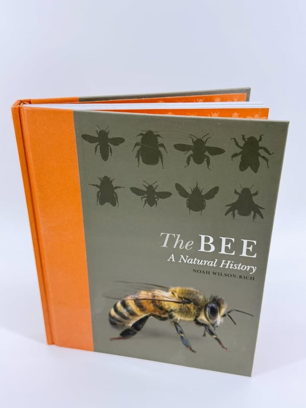 The Bee: A Natural History by Noah Wilson Rich - Hardcover Book